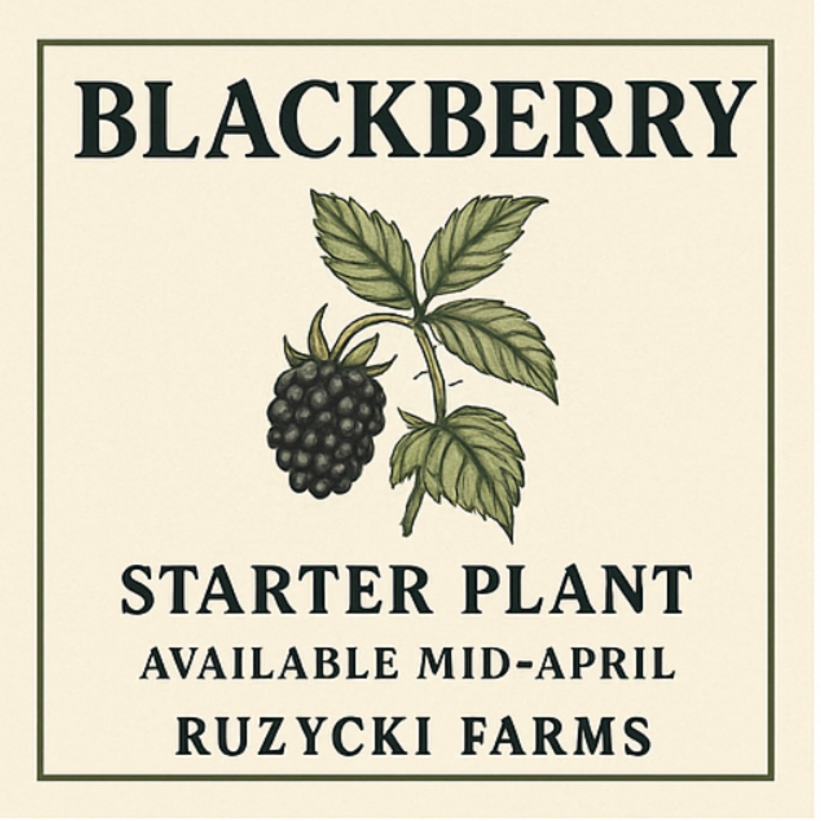 Ruzycki Farms photo 15